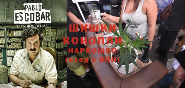 дмт Белокуриха