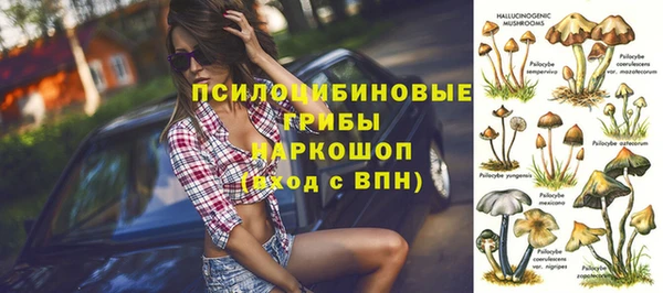 бошки Беломорск
