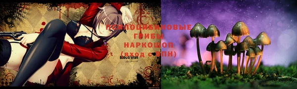 дмт Белокуриха